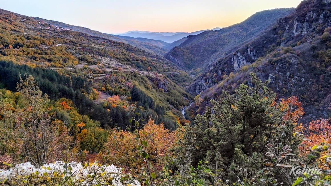 249225986_369215984876277_6675548844630455648_n